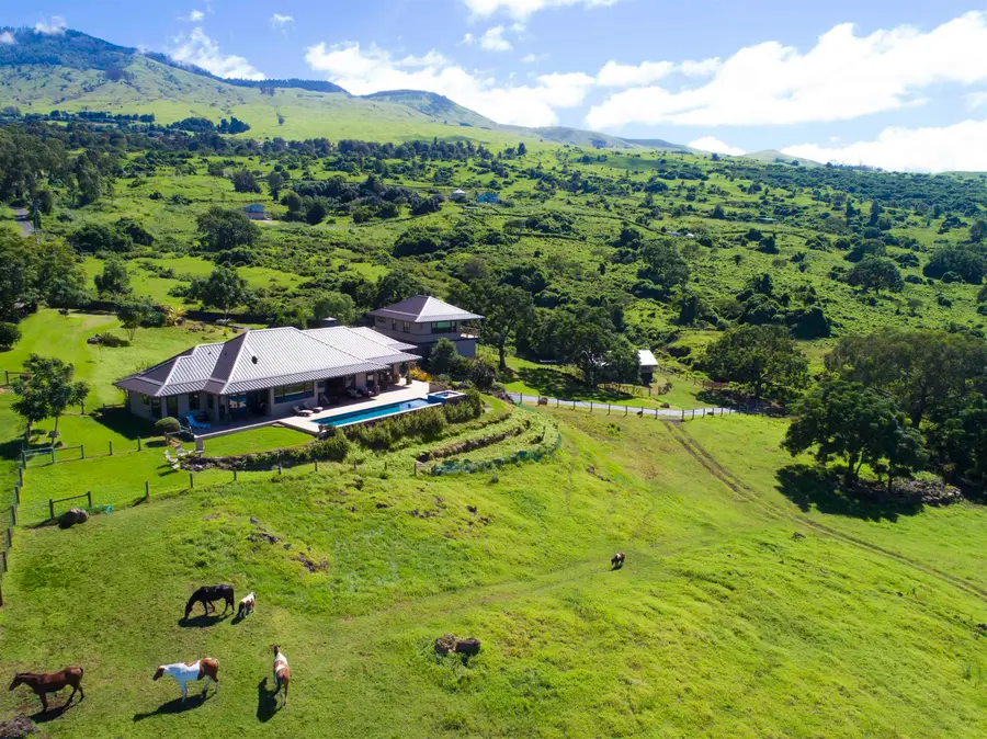 337 Kealakapu Rd, Kula, HI 96790 - #2