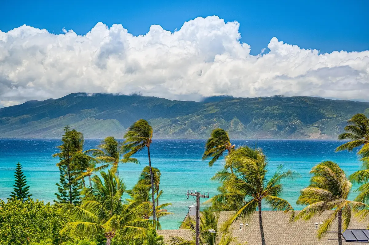 5385 Lower Honoapi'ilani Rd, Lahaina, HI 96761 - #1