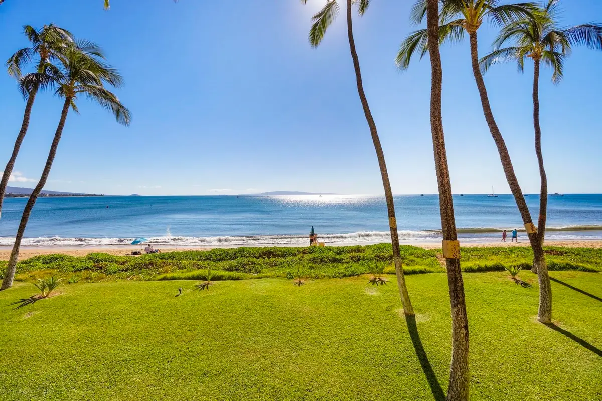 145 N Kihei Rd #234, Kihei, HI 96753 - #1