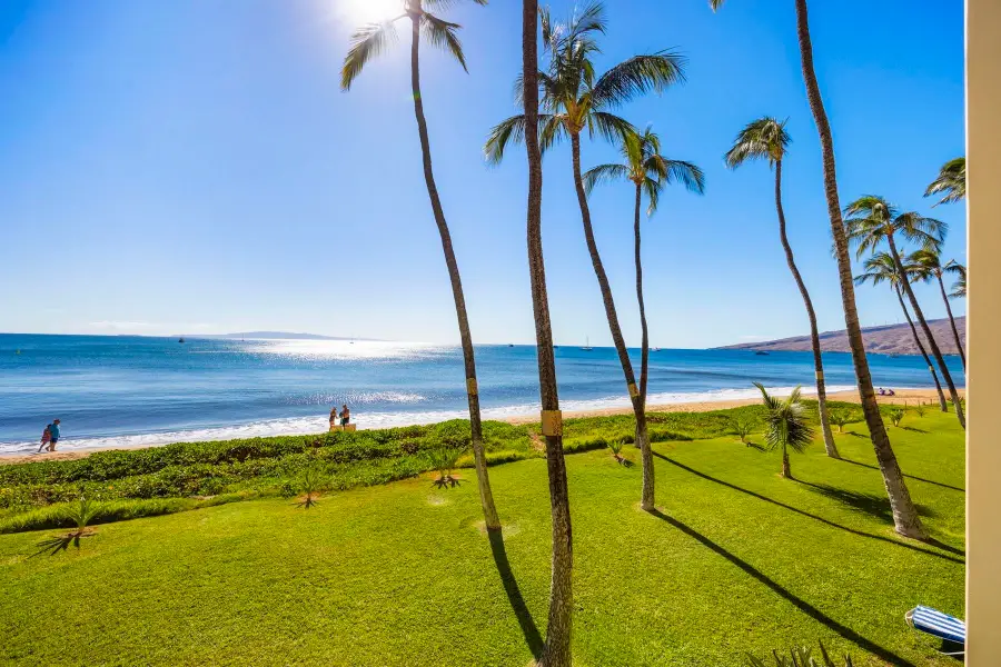 145 N Kihei Rd #234, Kihei, HI 96753 - #2