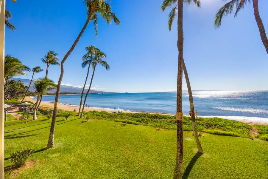 145 N Kihei Rd #234, Kihei, HI 96753 - #3