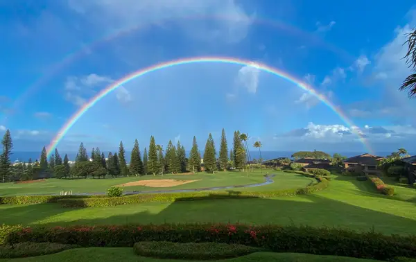 50 Puu Anoano St #2302, Lahaina, HI 5
