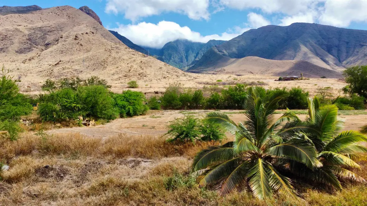 Ehehene St #Lot 3, Lahaina, HI 96761 - #1