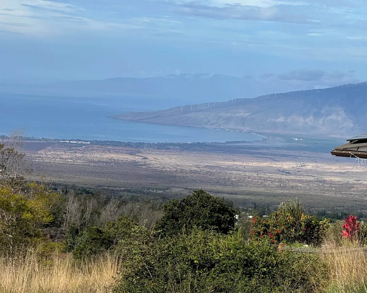 143 Elepaio Pl, Kula, HI 97690 - #1