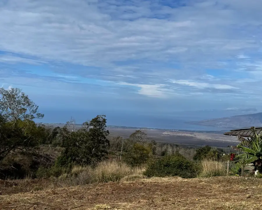 143 Elepaio Pl, Kula, HI 97690 - #2