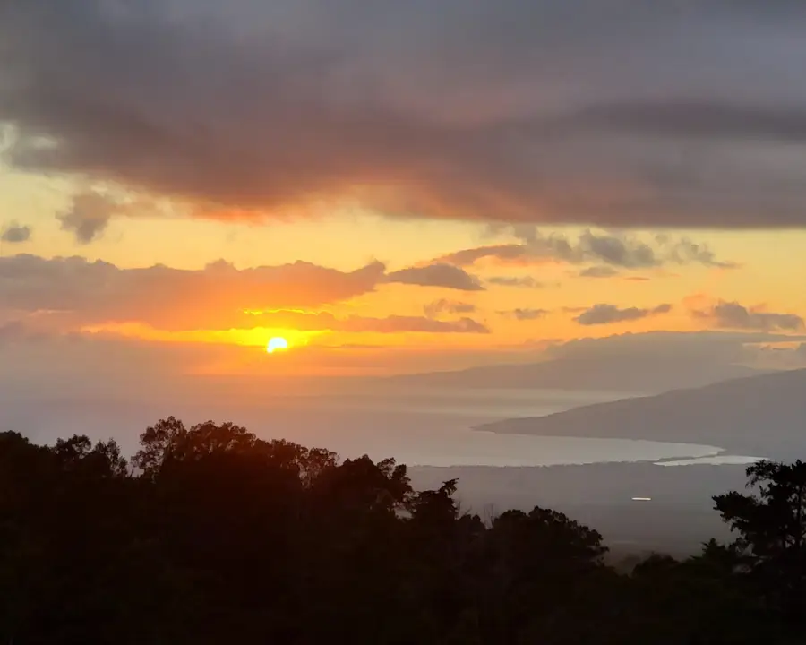 143 Elepaio Pl, Kula, HI 97690 - #3