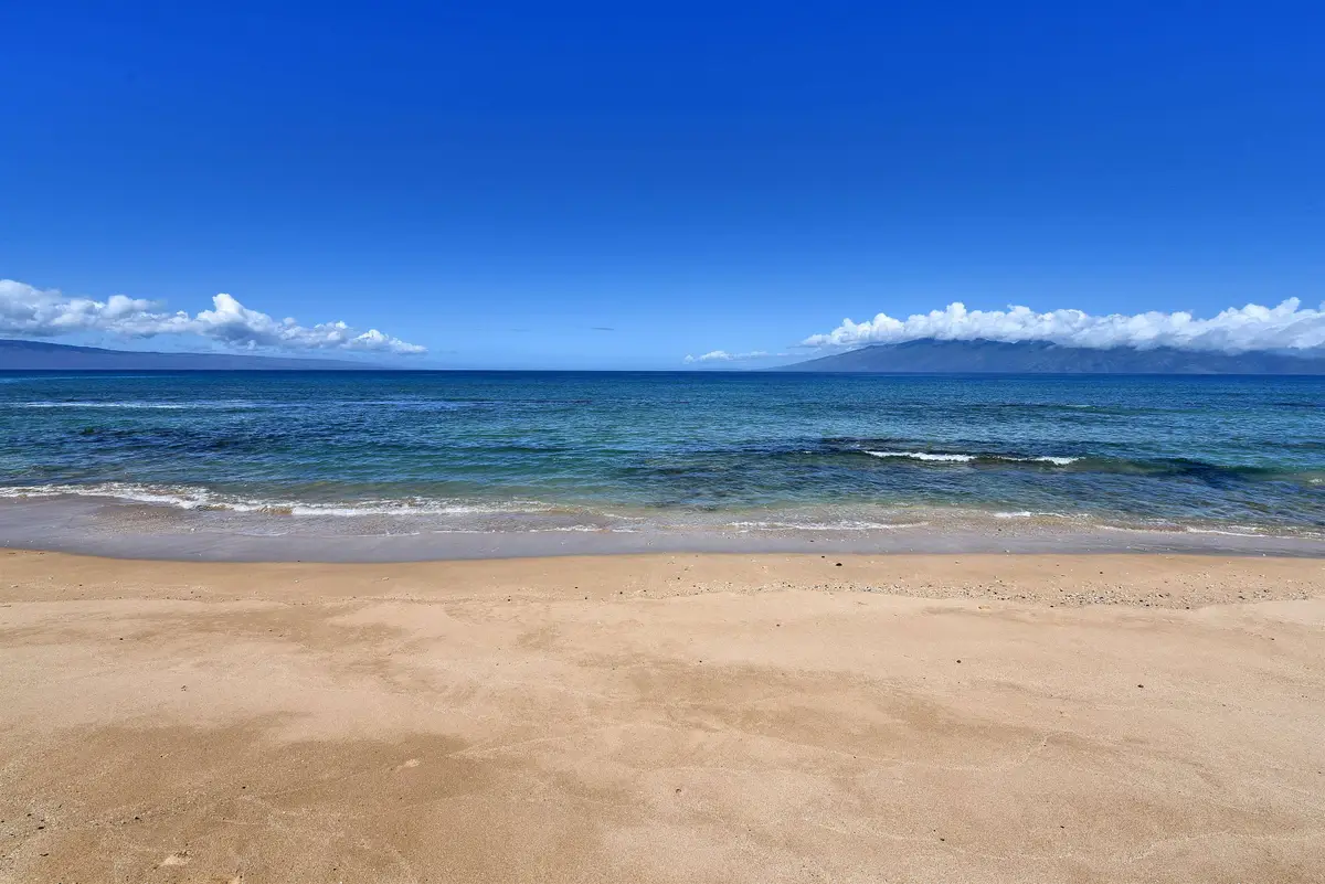 3723 Lower Honoapiilani Rd #100, Lahaina, HI 96761 - #1