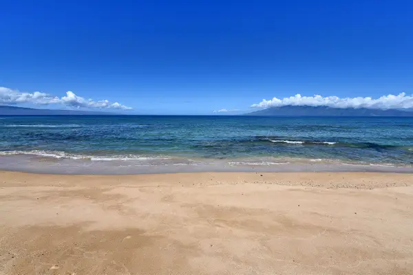 3723 Lower Honoapiilani Rd #100, Lahaina, HI 96761