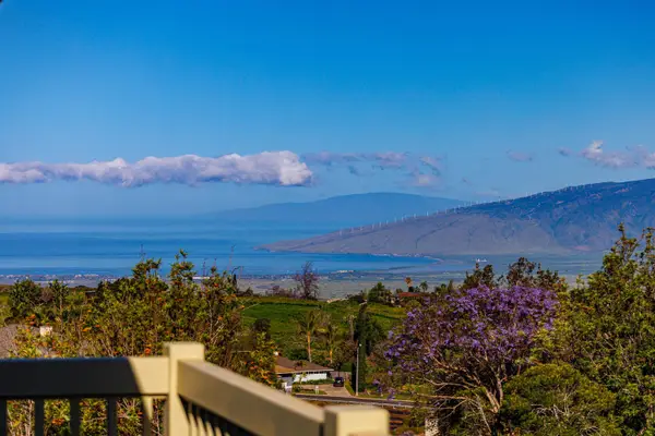 40 Kapalulu Pl, Kula, HI 96790