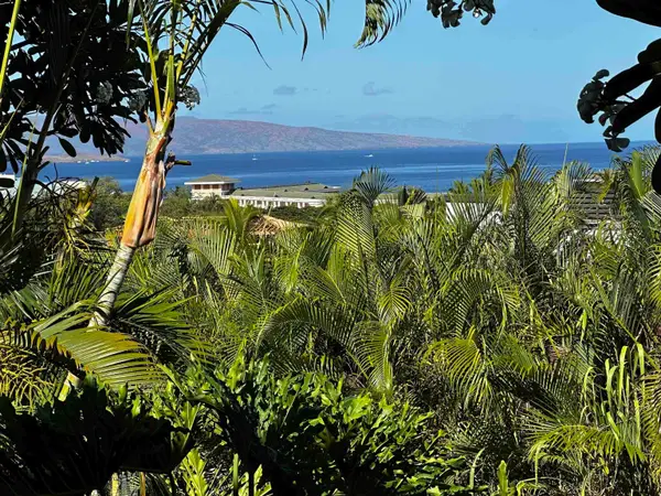10 Wailea Ekolu Pl #203, Kihei, HI 96753