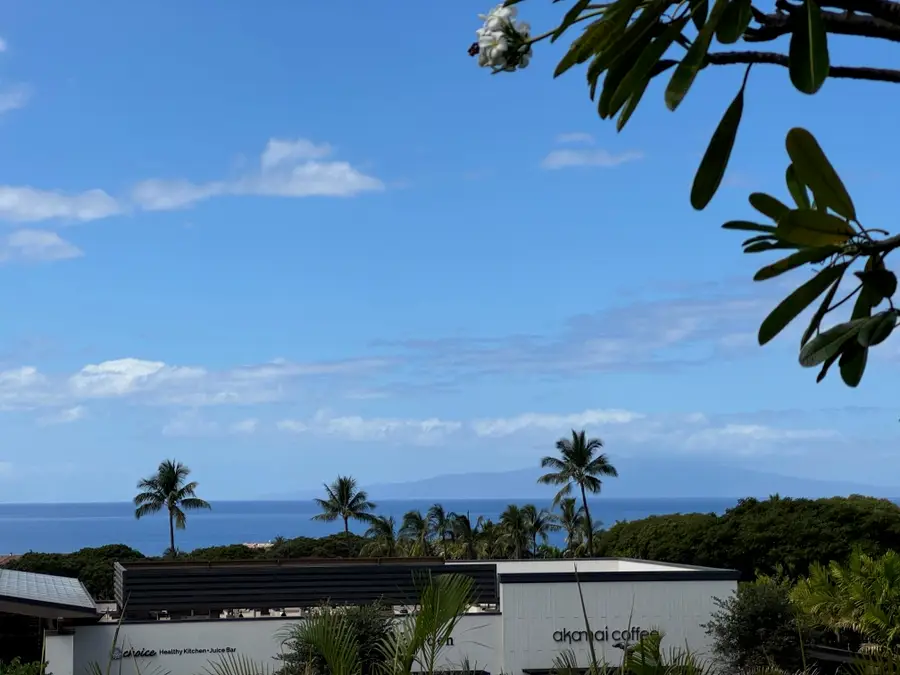 10 Wailea Ekolu Pl #203, Kihei, HI 96753 - #2
