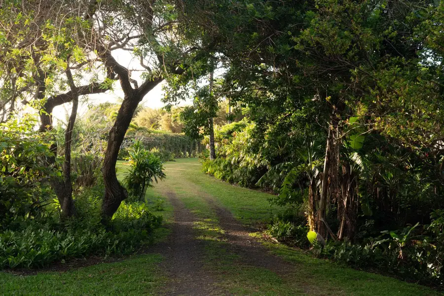 453 N Honokala Rd, Haiku, HI 96708 - #3