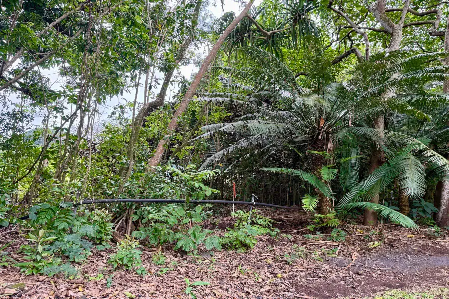 0 Hana Hwy, Hana, HI 96713 - #3