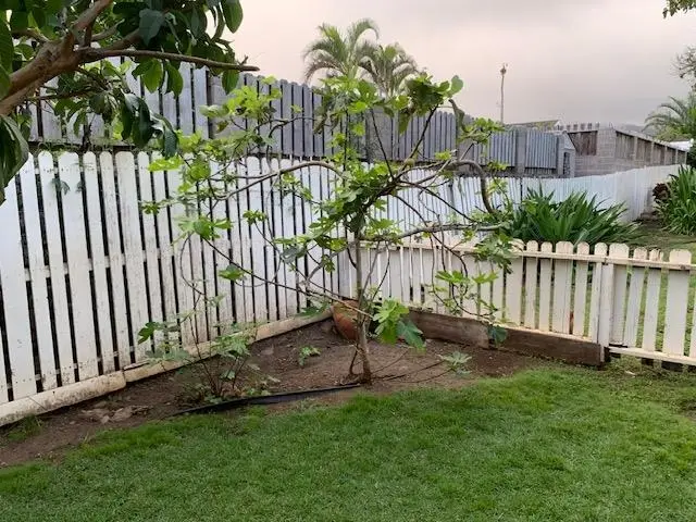 50 Waipaa Ln #103, Wailuku, HI 96793 - #3