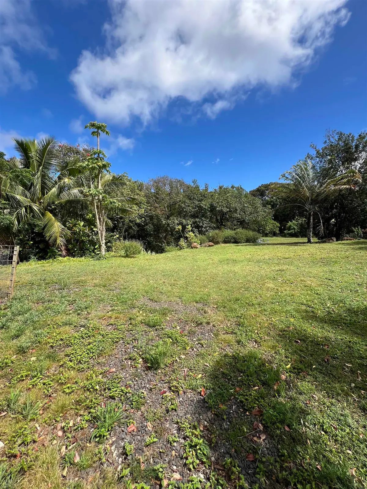 50 Pauwela Rd #Unit A, Haiku, HI 96708 - #1