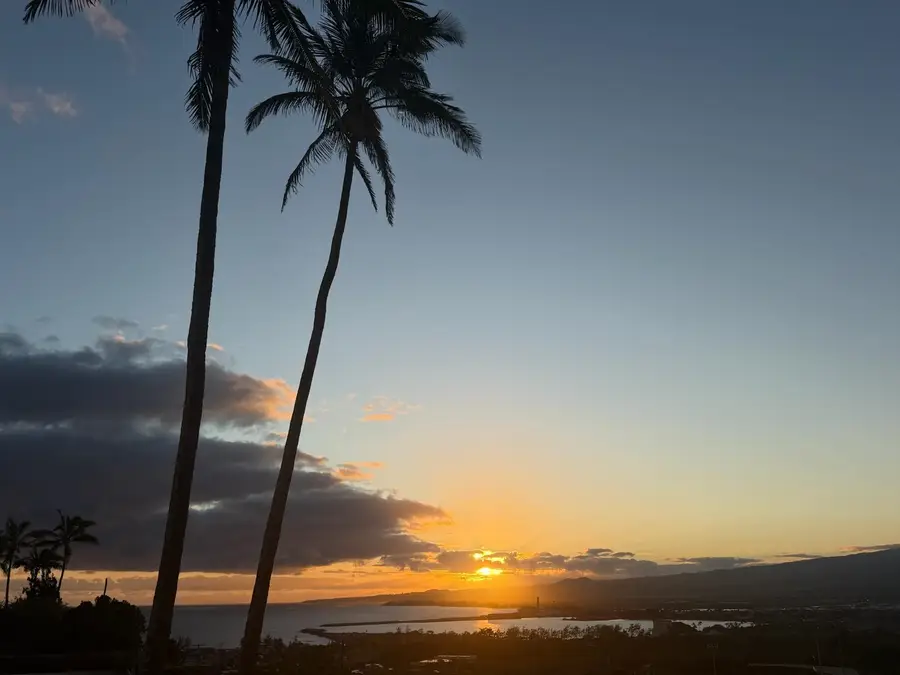 295 Liholiho St, Wailuku, HI 5 - #3