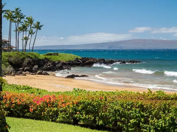 4850 Makena Alanui Rd #B103, Kihei, HI 