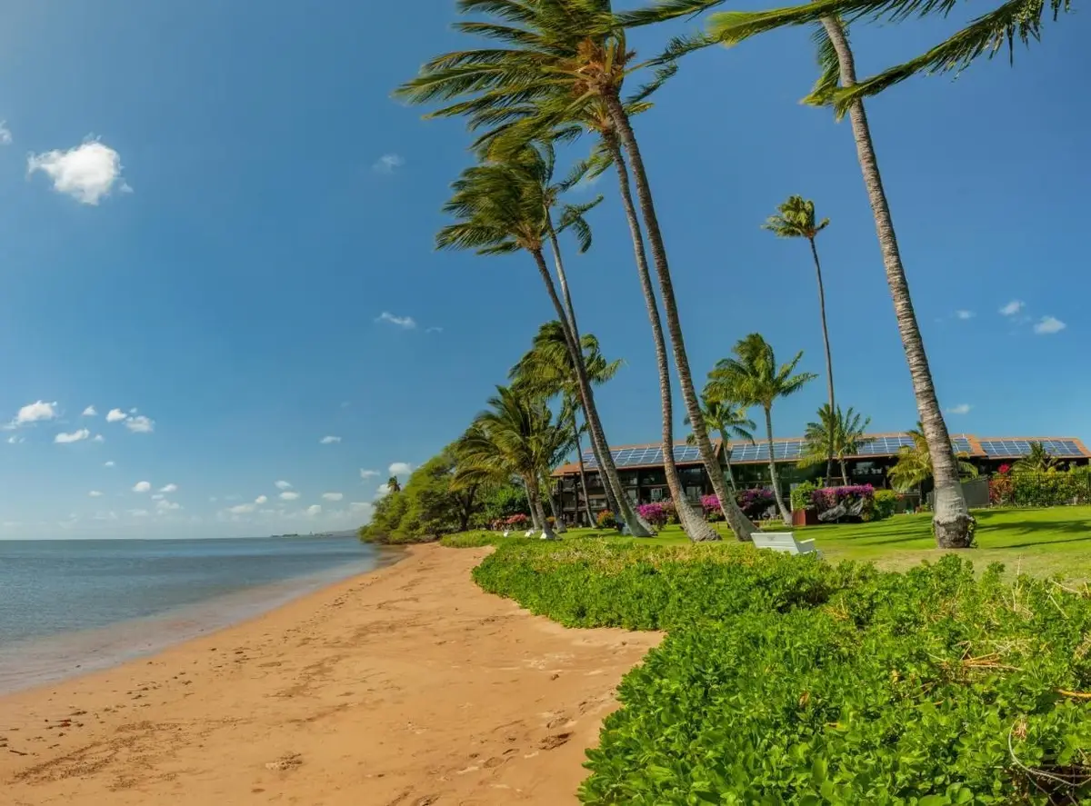 1000 Kamehameha V Hwy #C329, Kaunakakai, HI 96748 - #1
