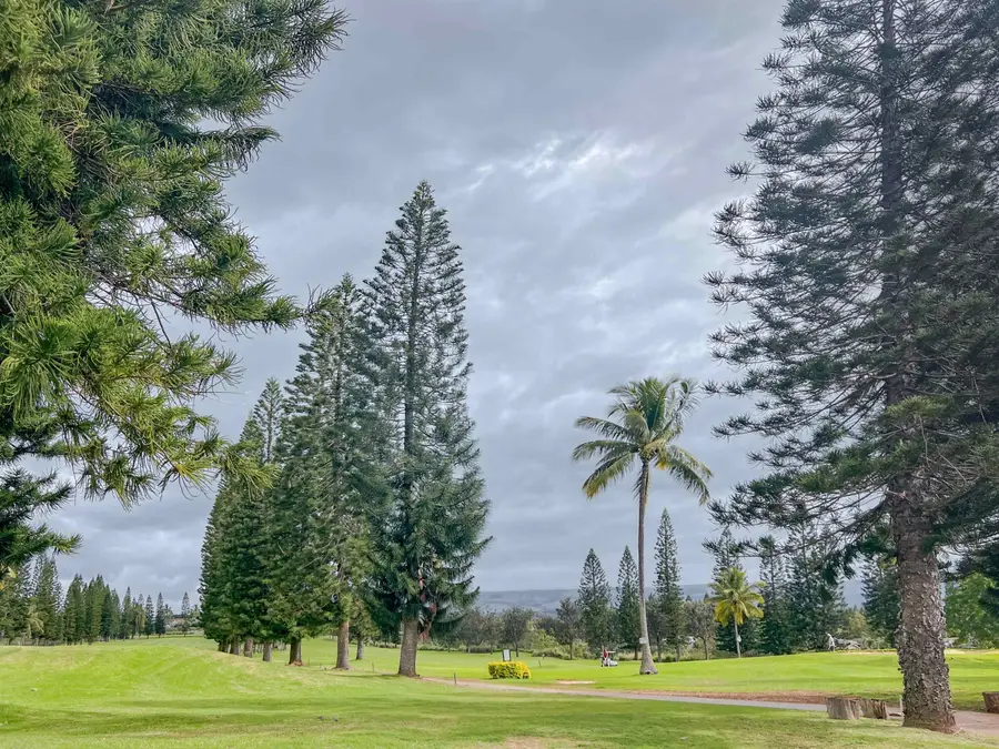 2740 Liholani St #3, Makawao, HI 96768 - #3