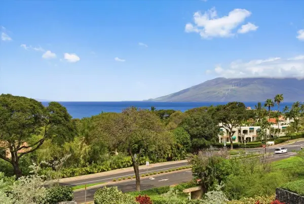 60 Kai Malu Dr #201 (11C), Kihei, HI 