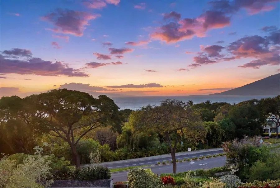 60 Kai Malu Dr #201 (11C), Kihei, HI  - #2