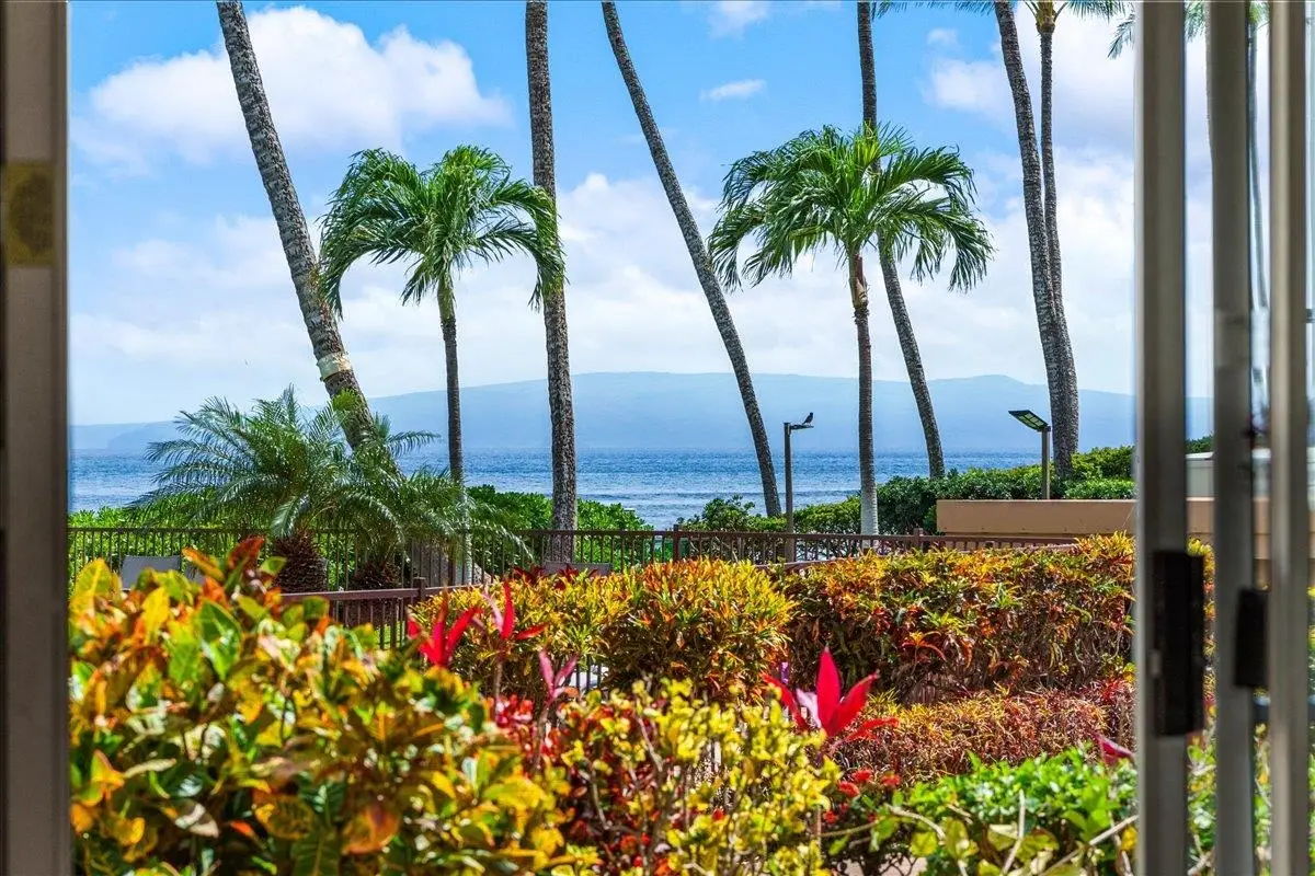 150 Hauoli St #103, Wailuku, HI 96793 - #1