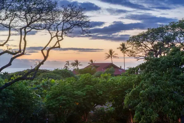 209 Holokahiki Ln #103, Kihei, HI 96753