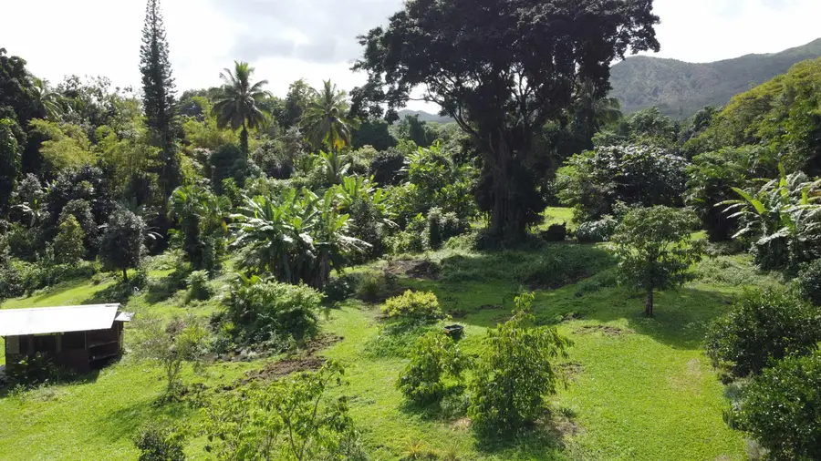 315 Uwala Rd, Hana, HI 96713 - #2