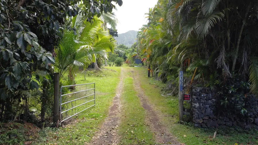 315 Uwala Rd, Hana, HI 96713 - #3