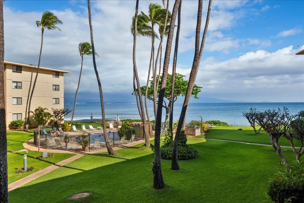 250 Hauoli St #208, Wailuku, HI 96793 - #1