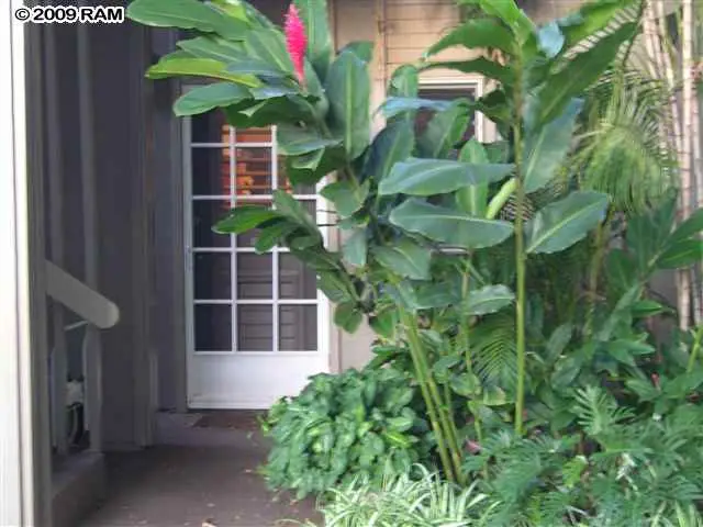 4435 Lower Honoapiilani #119, Napili Honokowai, HI 5 - #3