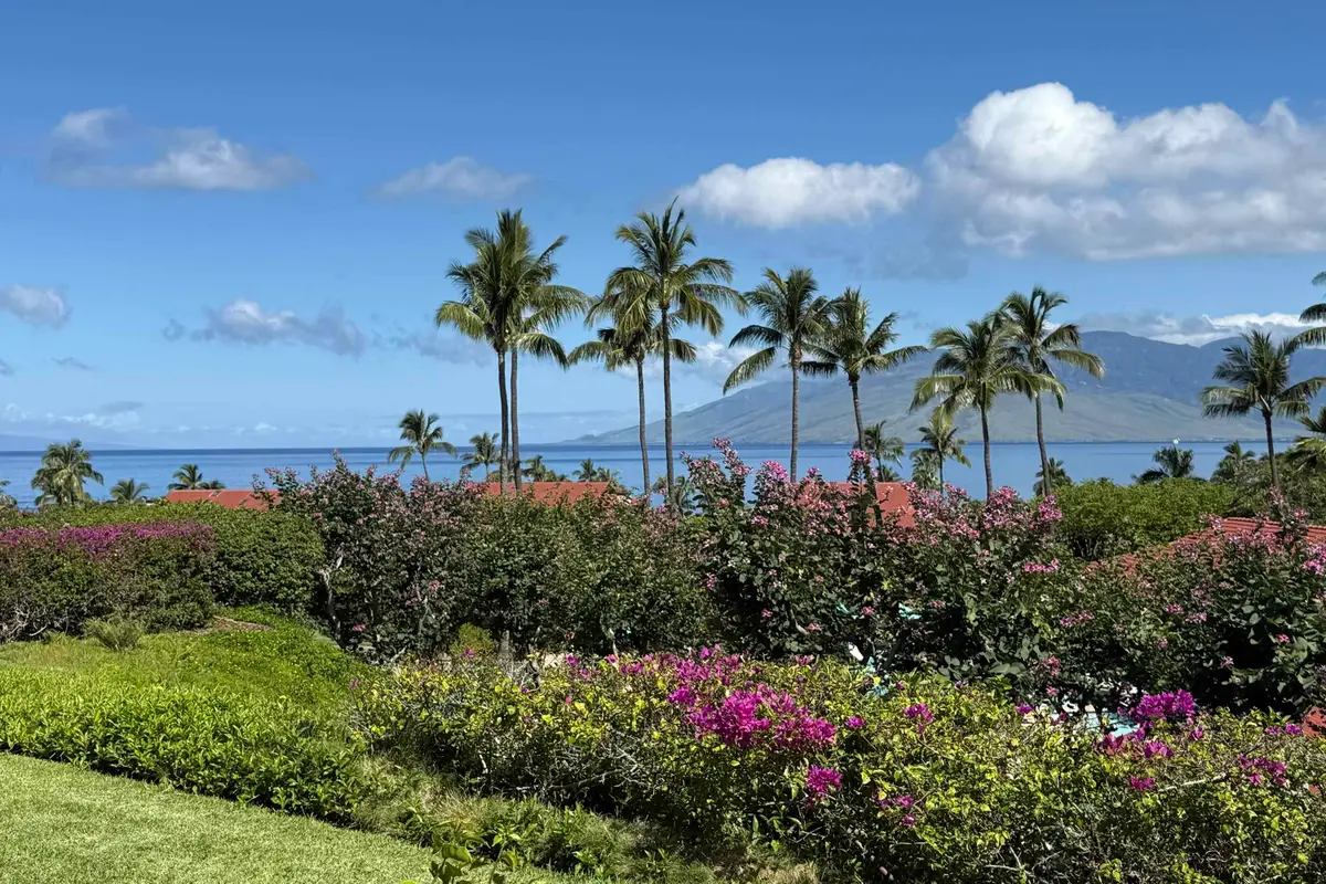 4000 Wailea Alanui Dr #2101, Kihei, HI 96753 - #1