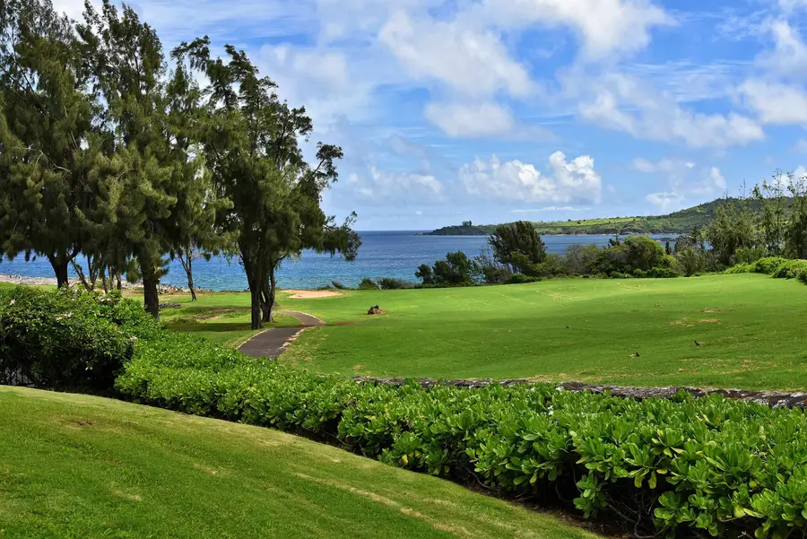 81 Ironwood Ln #81, Lahaina, HI 96761 - #3