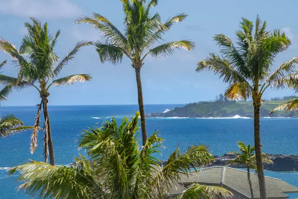 500 Bay Dr #12B1-2, Lahaina, HI 96761