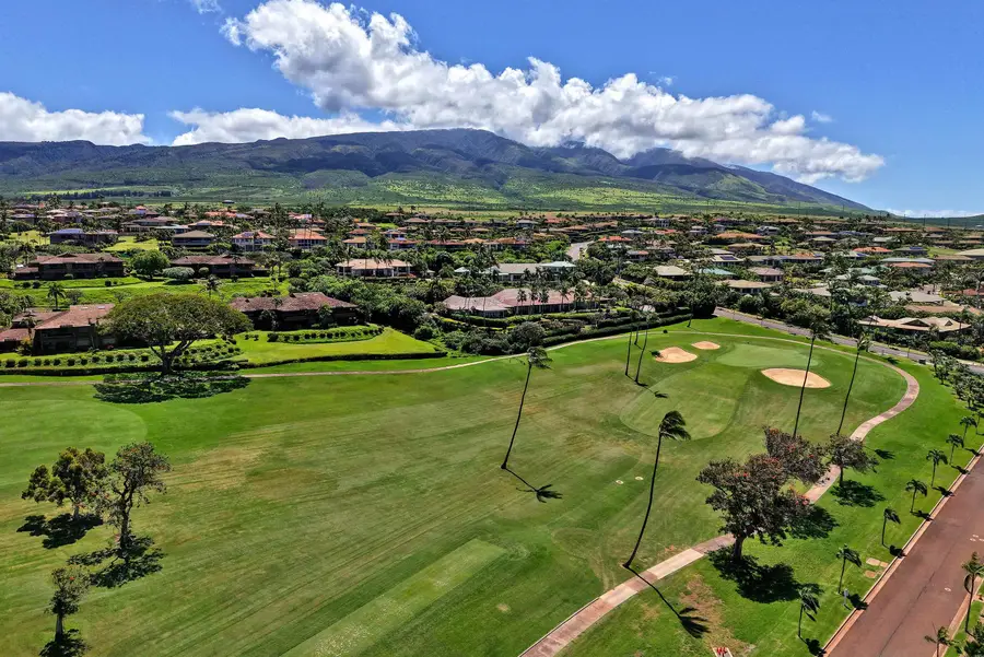 175 Ulukoa Pl, Lahaina, HI 96761 - #3