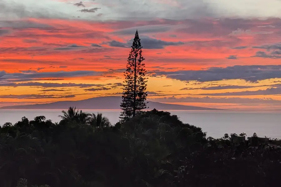 3450 Malina Pl, Kihei, HI 96753 - #3