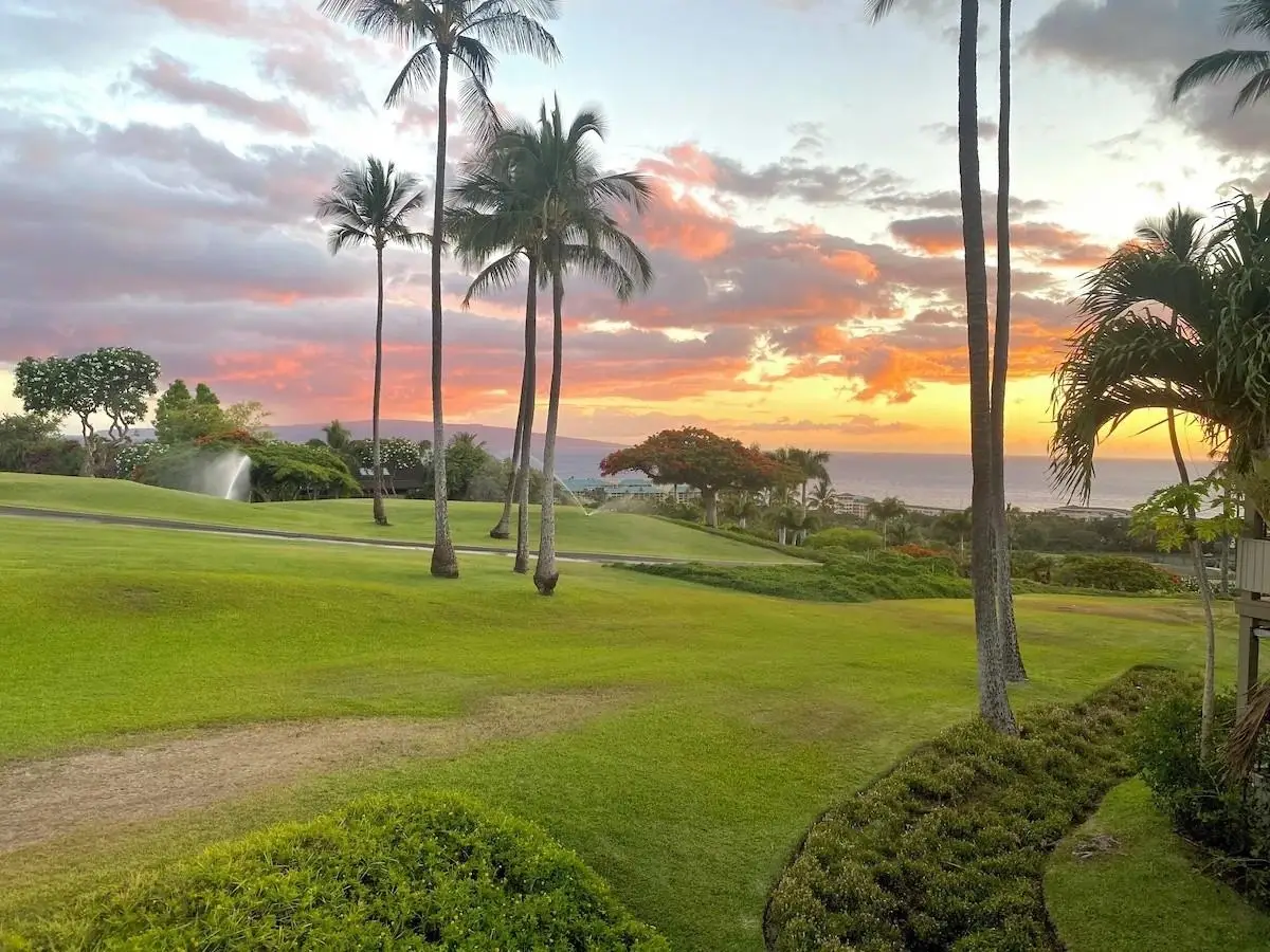 10 Wailea Ekolu Pl #1206, Kihei, HI 96753 - #1