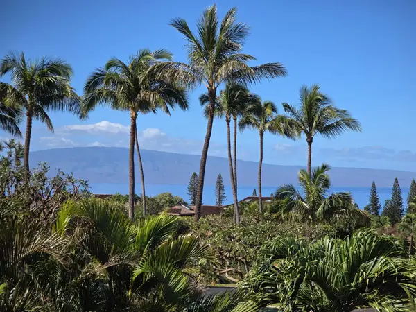 56 S Iwa Pl, Lahaina, HI 96753