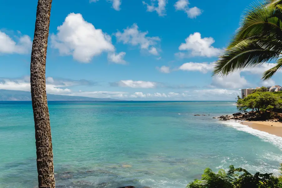 4095 Lower Honoapiilani Rd #219C, Lahaina, HI 96761 - #3