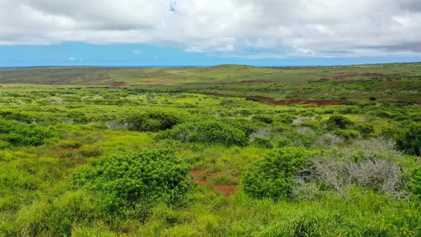 0 Kalua Koi Rd #Lot 55, Maunaloa, HI 96770