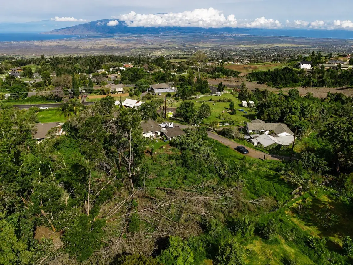 16255 Haleakala Hwy, Kula, HI 96790 - #1