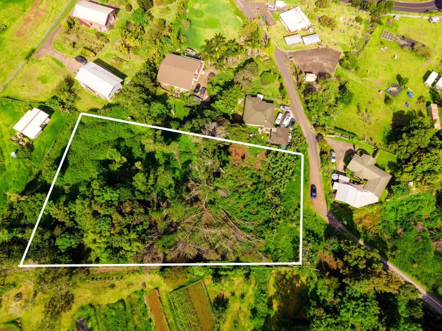 16255 Haleakala Hwy, Kula, HI 96790 - #2
