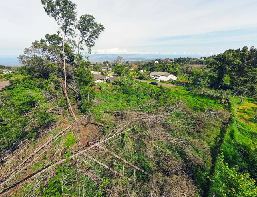 16255 Haleakala Hwy, Kula, HI 96790 - #3
