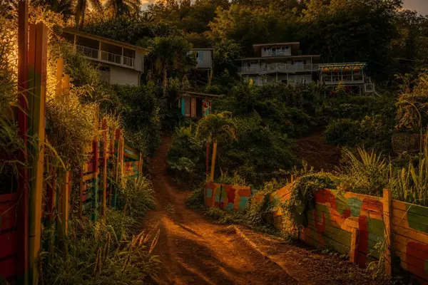 1660 Kokomo Rd, Haiku, HI 96708