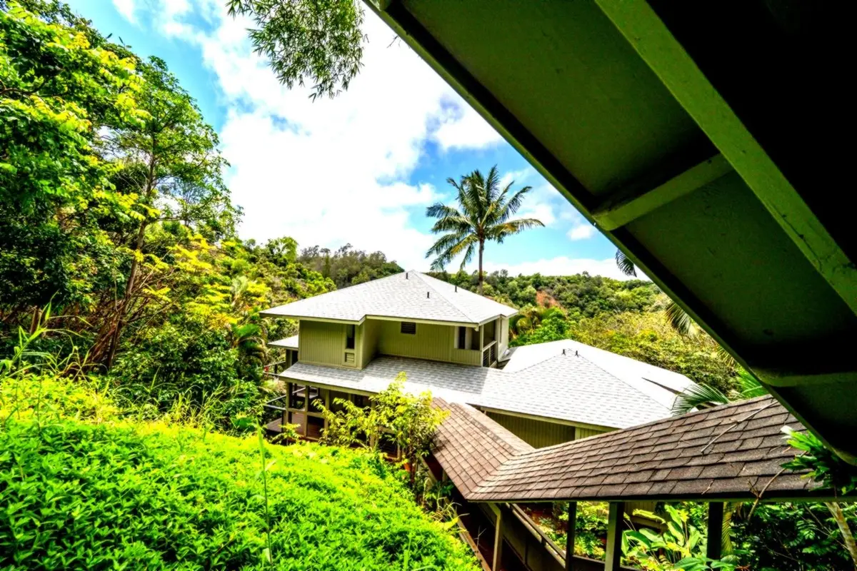 1640 Kokomo Rd, Haiku, HI 96708 - #1