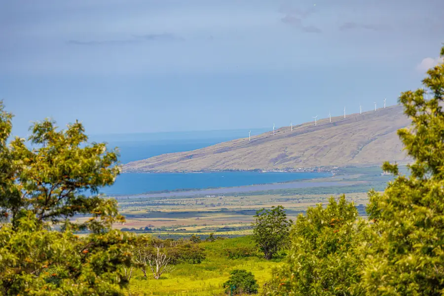 0 Anuhea Pl, Kula, HI 96790 - #3