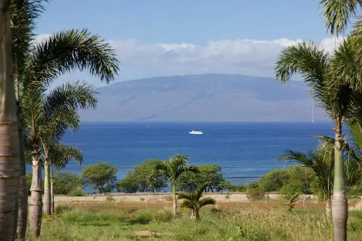 150 Kai Hele Ku Rd #Unit B, Lahaina, HI 96761 - #3