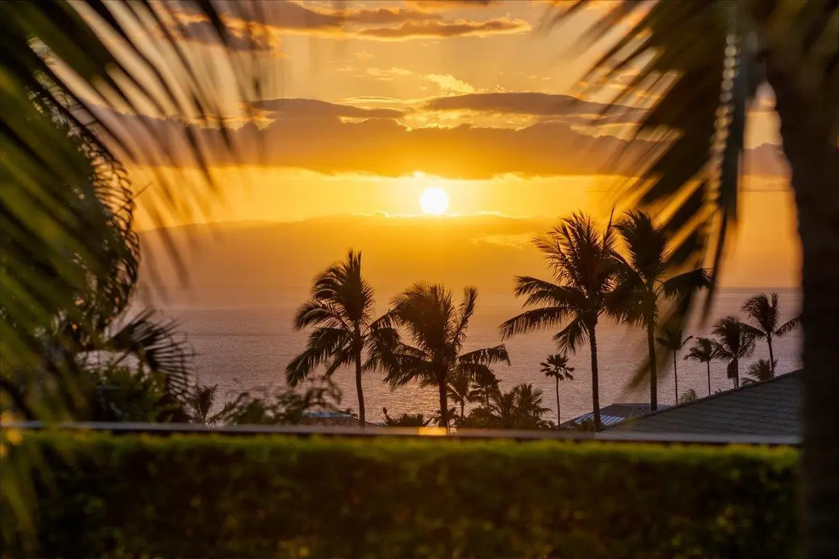 19 Halapa Pl, Kihei, HI 96753 - #1