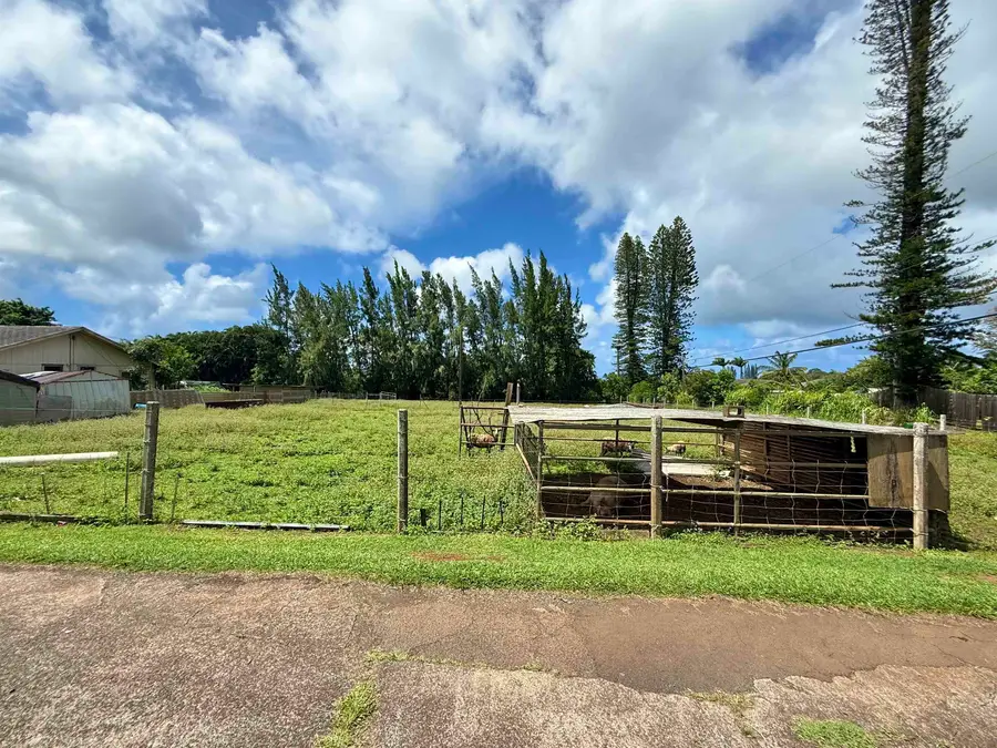 1630 Kauhikoa Rd, Haiku, HI 96708 - #3
