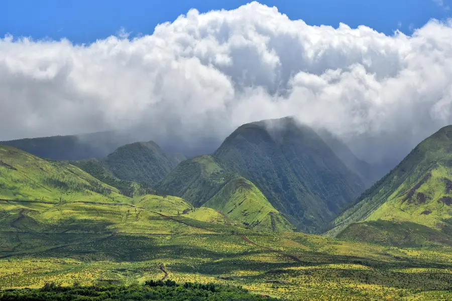 475 Front St #614, Lahaina, HI 96761 - #3